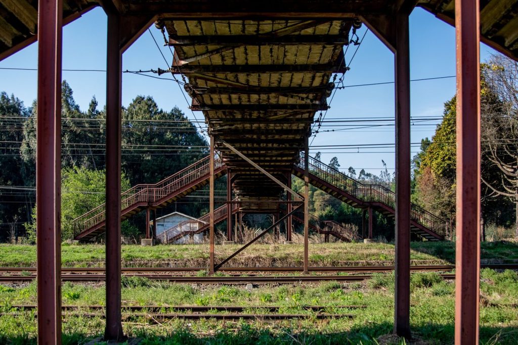 A rustic footbridge crosses railway tracks amidst lush greenery during a summer day.