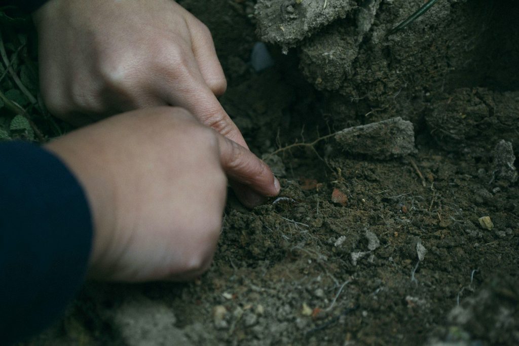 a person holding something in their hand in the dirt