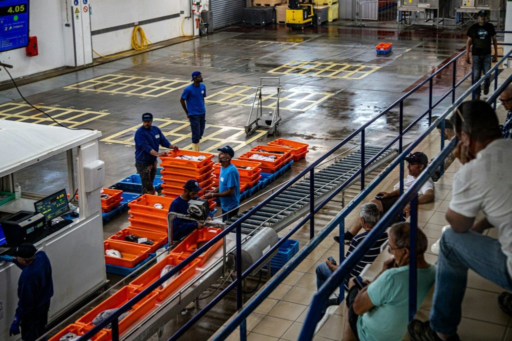 Workers sorting fish in a processing plant with observers.