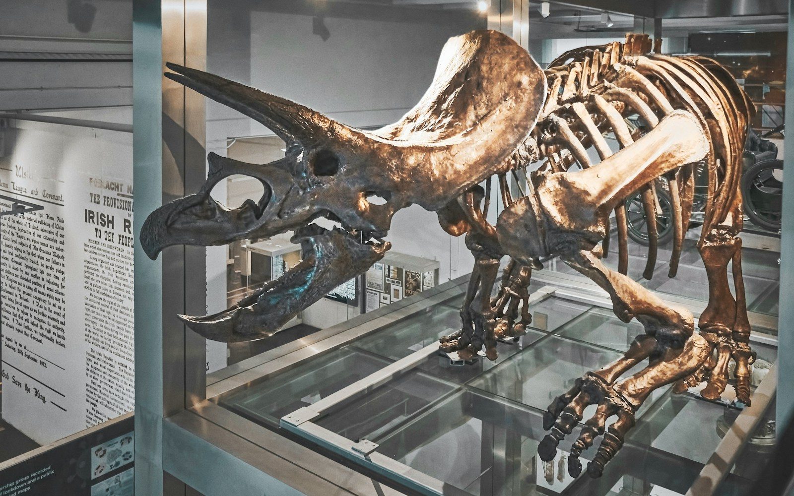 The Biological Secrets Behind Colossal Prehistoric Growth