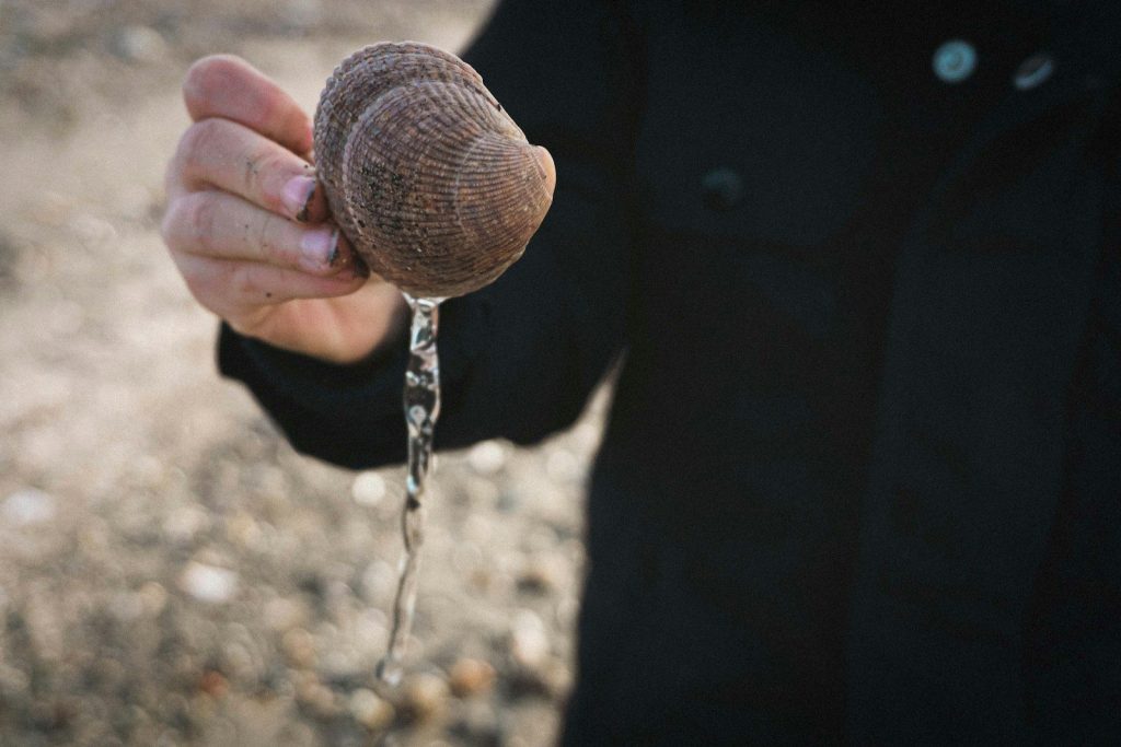 a person holding a piece of food in their hand