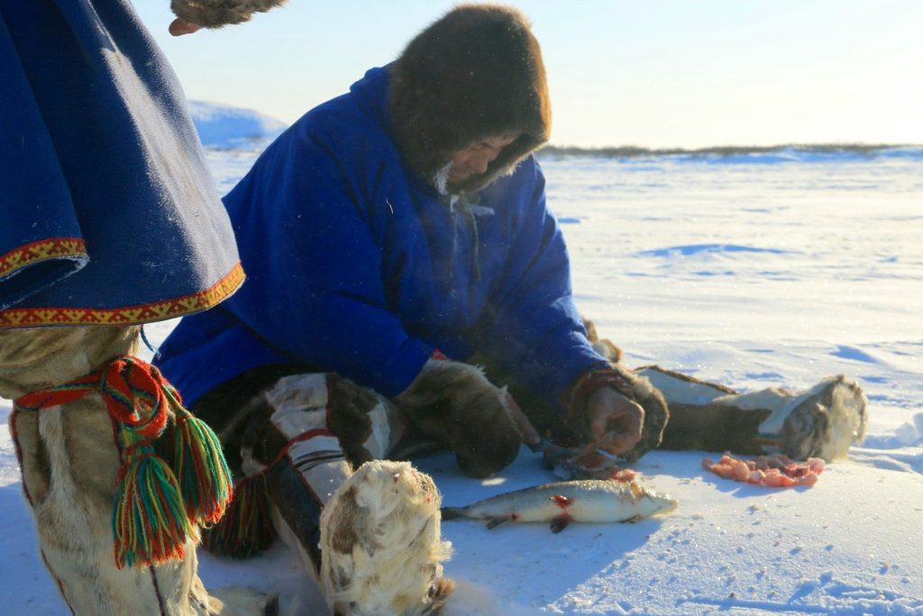 Man in blue coat prepares fish on snowy ground