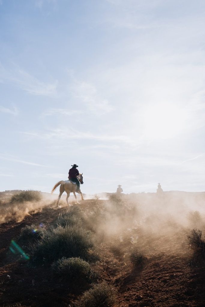 Cowboy riding a horse through dusty desert landscape.