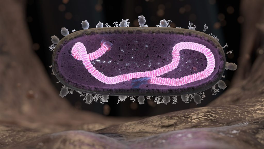 a picture of a cell phone with a pink ribbon on it