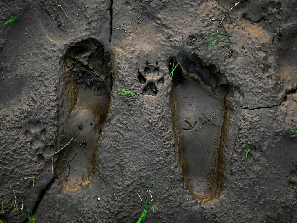 A couple of footprints that are in the dirt