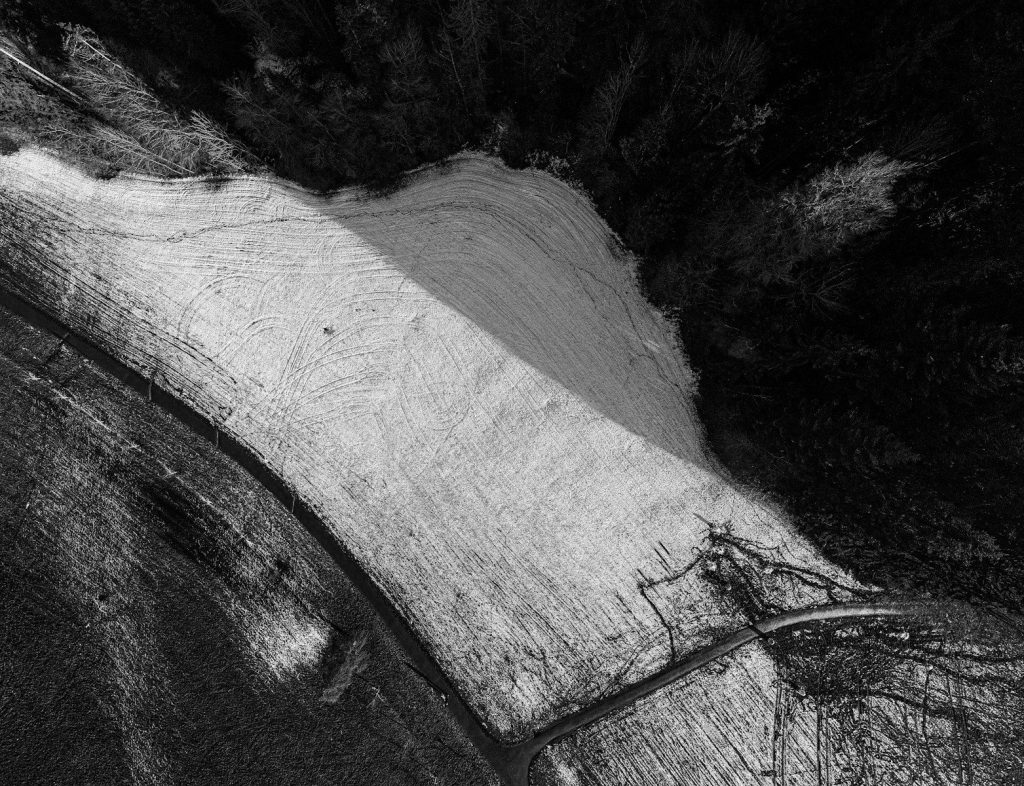 a black and white photo of a dirt road
