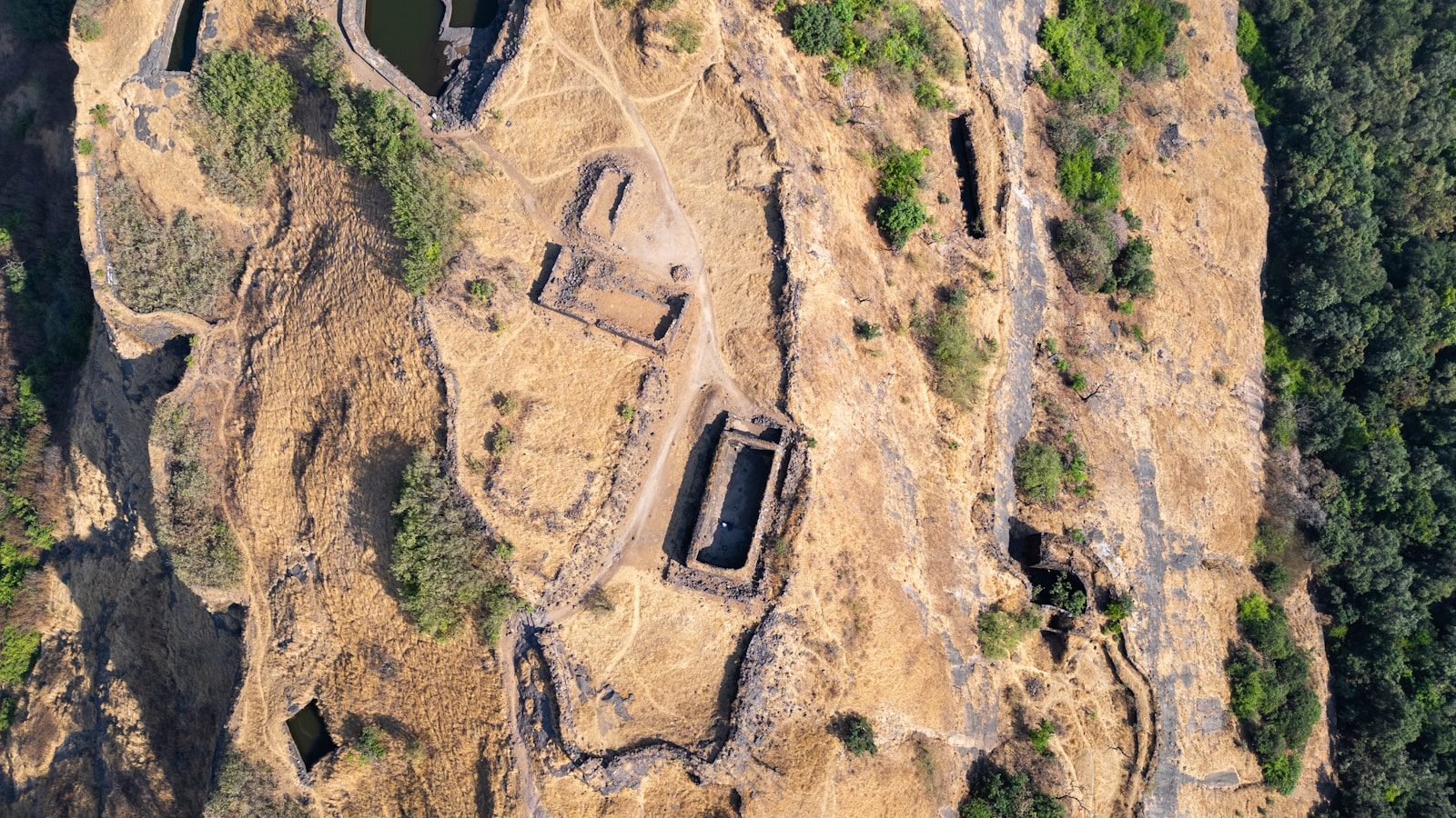 An aerial view of a castle in the middle of a forest