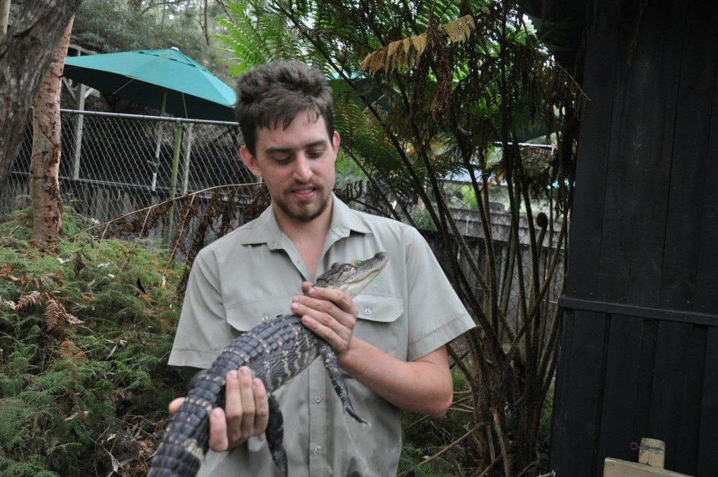 A man holding a large snake in his hands