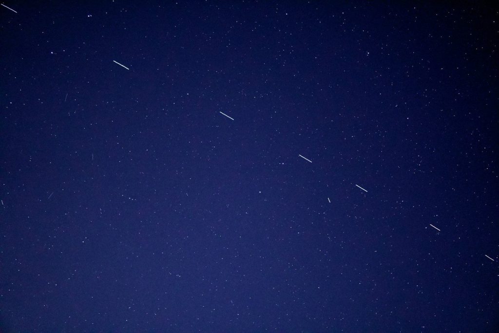 birds flying in the sky during night time