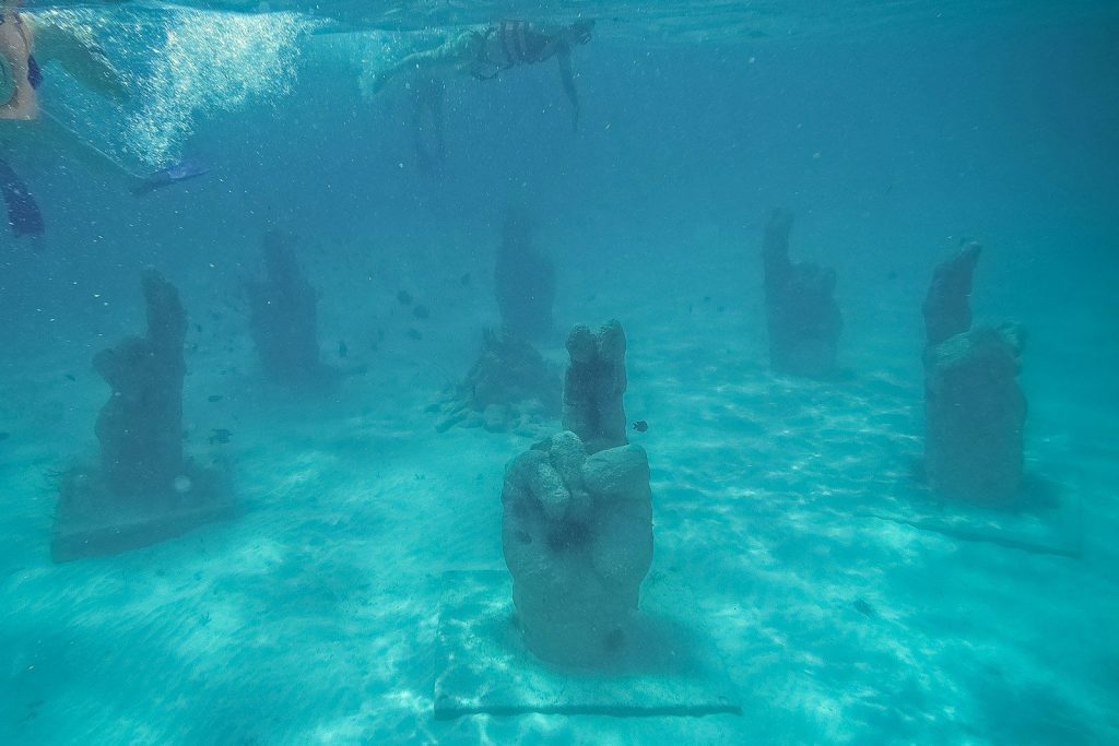 A group of people swimming in a pool of water