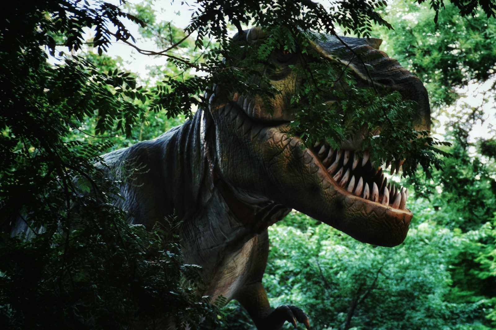 A tyrannosaurus rex lurks within lush foliage.