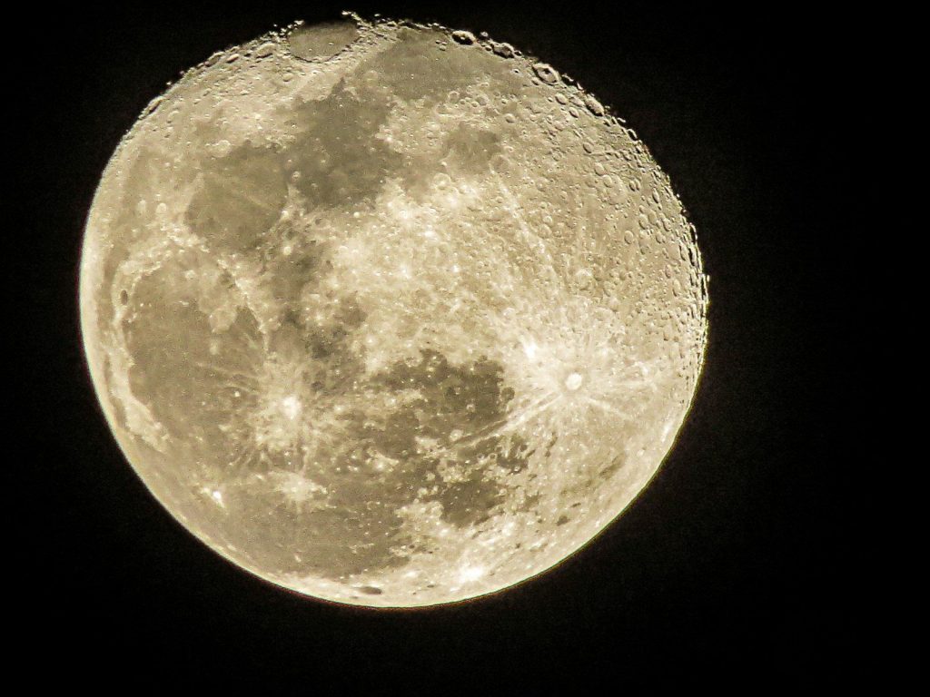 The full moon glows brightly in the dark sky.