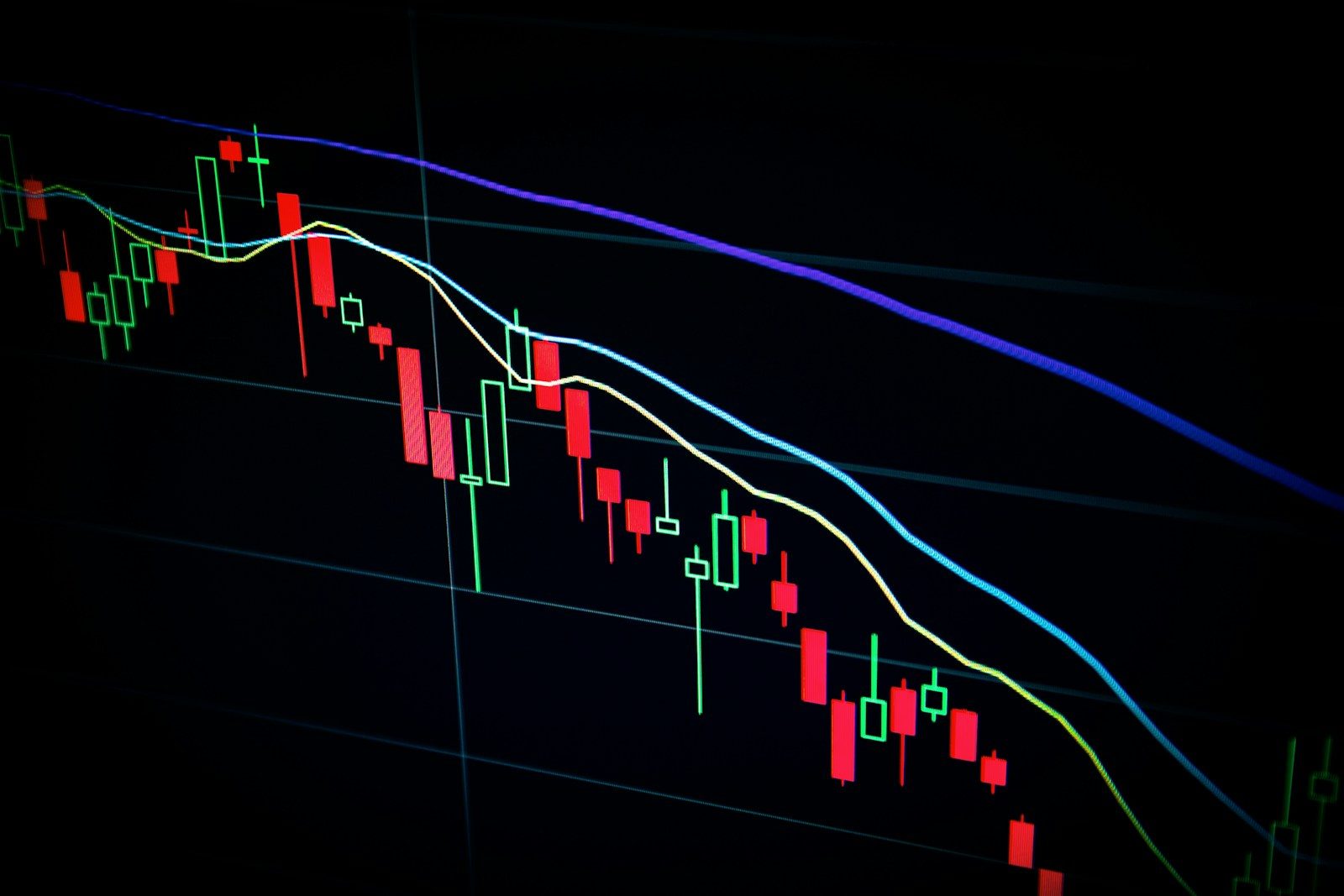 SpaceX Stock Crashed Below Its Opening Price Erasing Billions