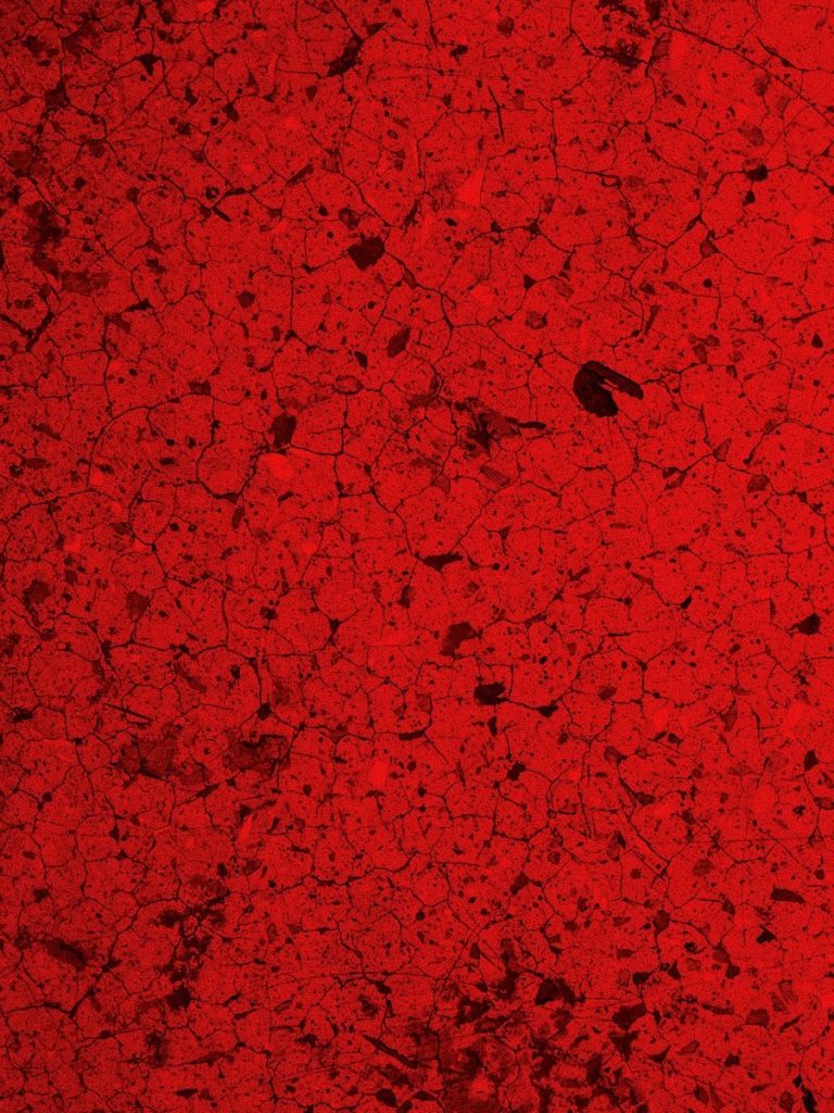 a grungy red wall with a black bird on it