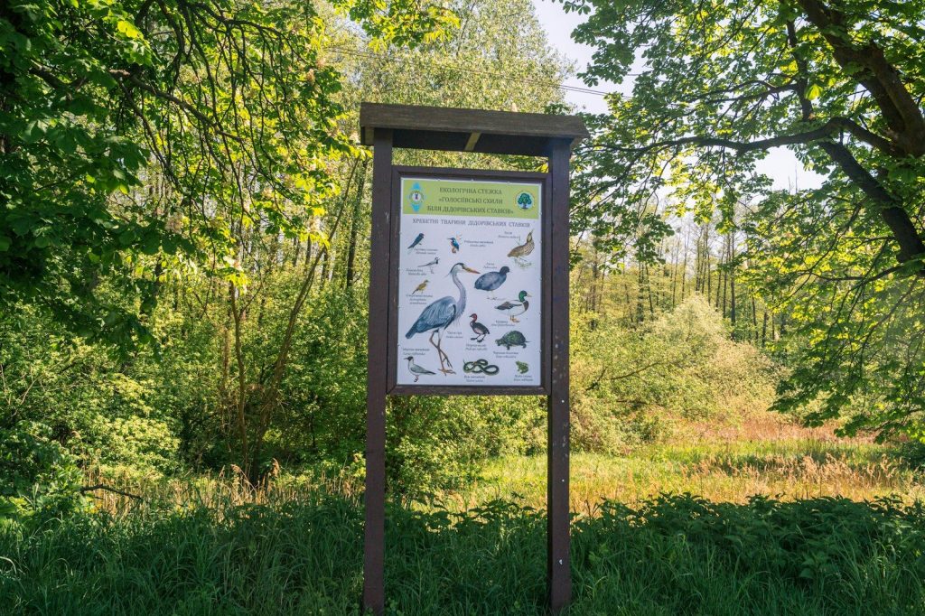 Nature trail sign with bird illustrations in a forest.