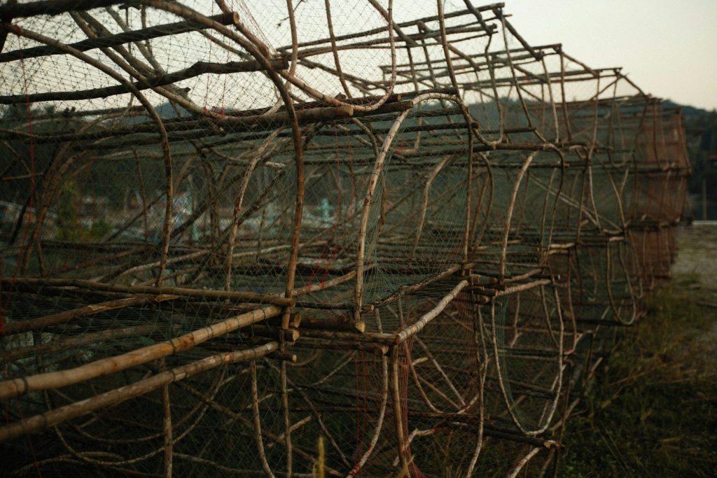 a bunch of cages that are sitting in the grass