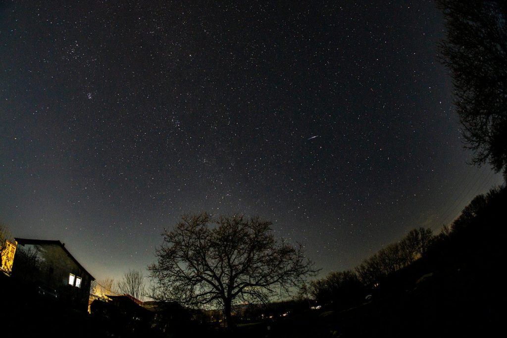 Starry night sky over silhouetted trees and house