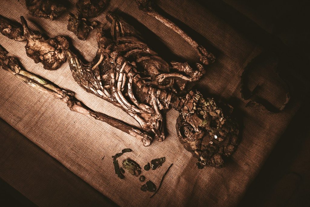 skeleton illustration