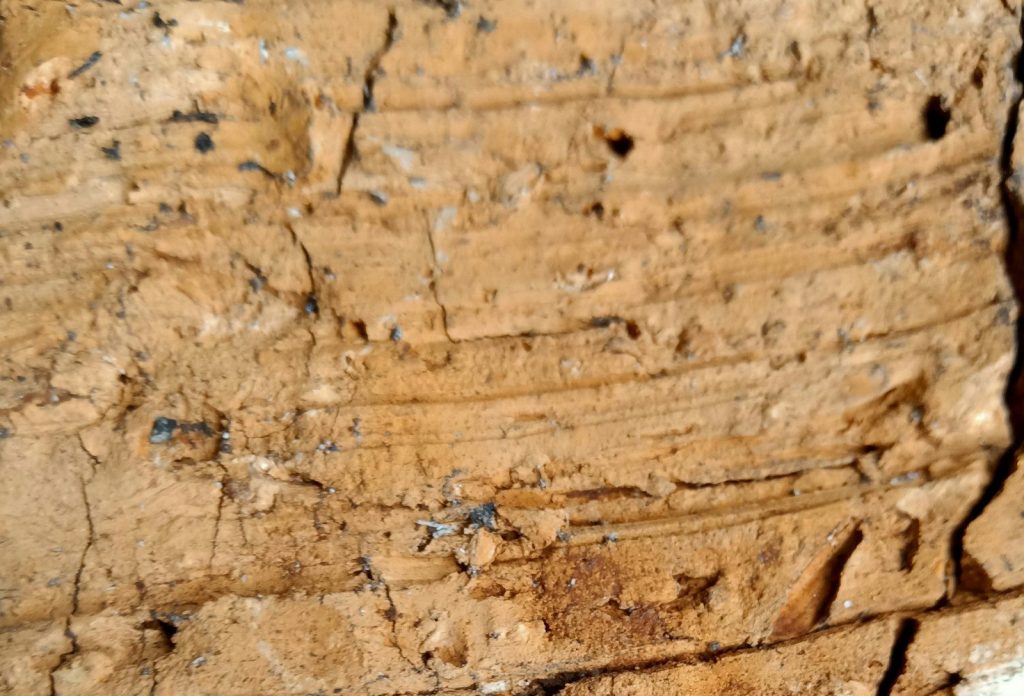a close-up of a rock