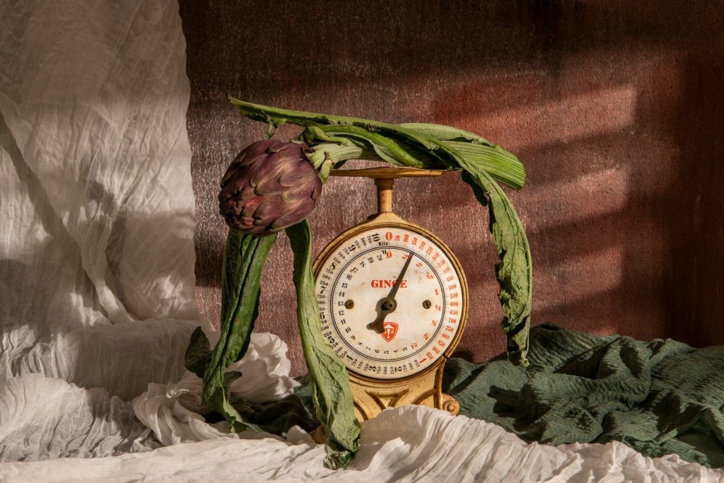 Artichoke rests on a scale surrounded by leaves.