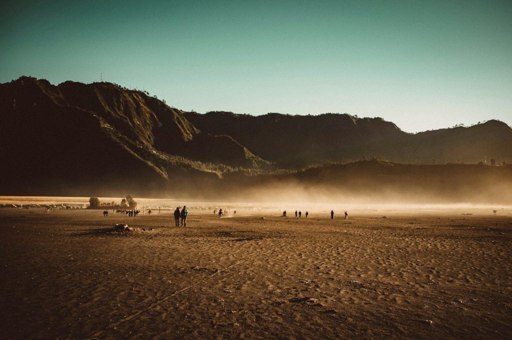 people walking on beach shore during daytime