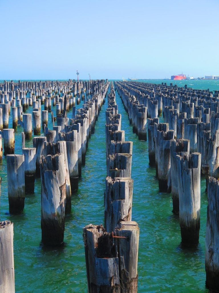 a large number of wooden posts in the water