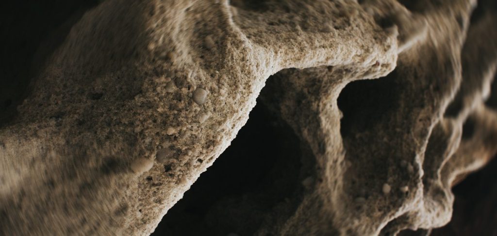 Abstract texture or surface details appear in the image.