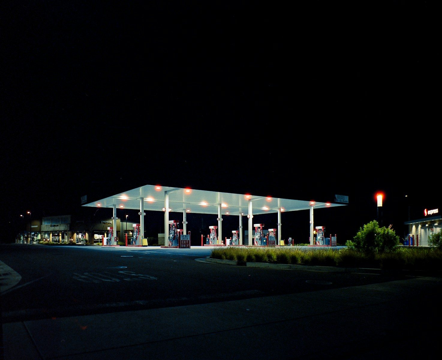 The Bizarre Science Behind America’s Favorite Roadside Kingdom