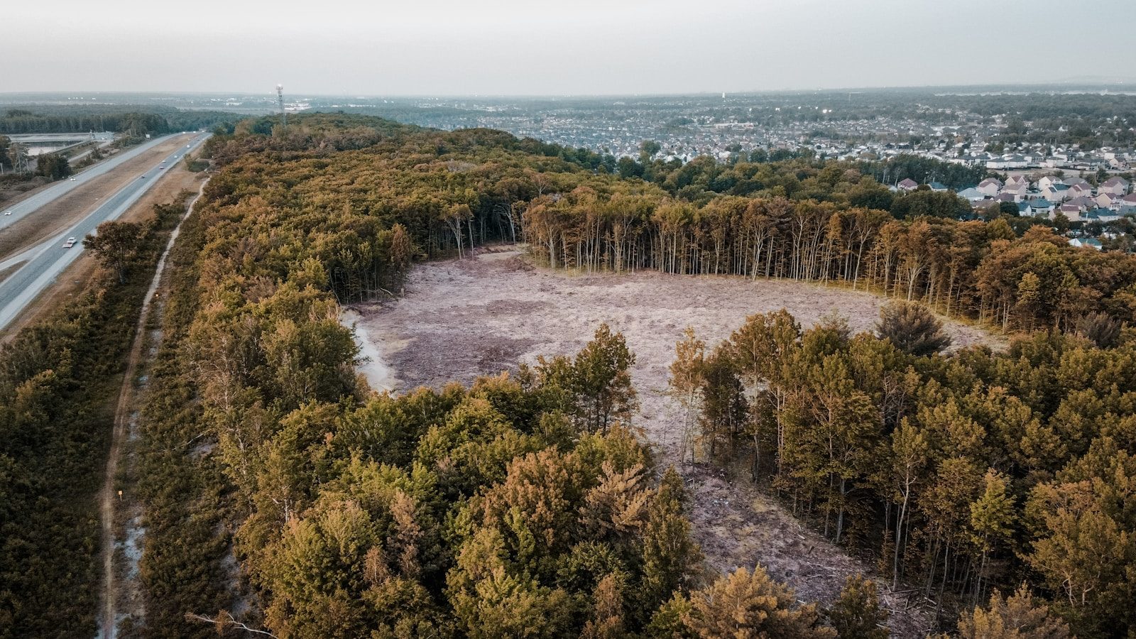 an aerial view of a road surrounded by trees