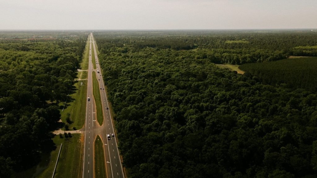 gray road on the middle of trees