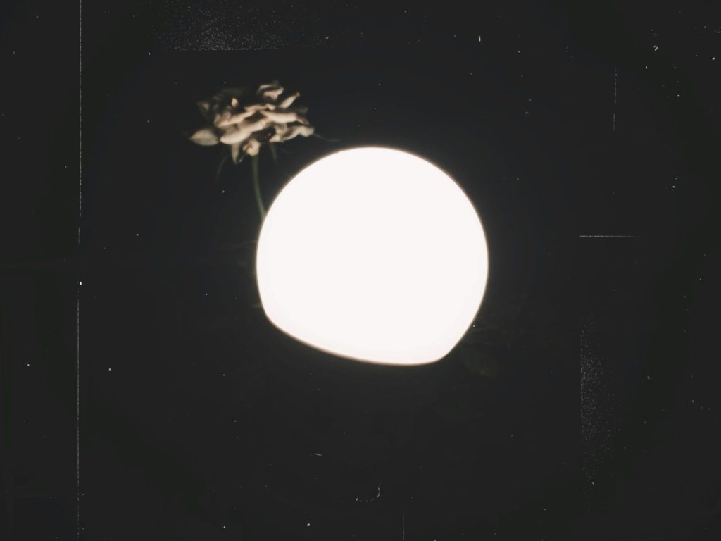 A white ball on a black background with a flower in it