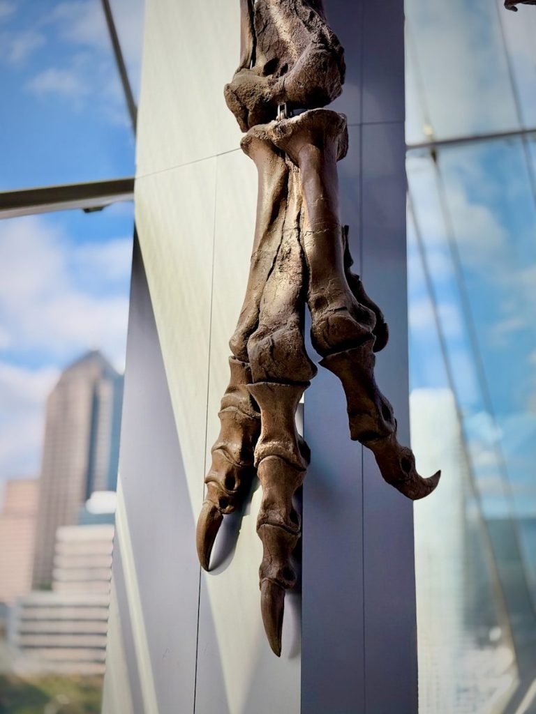 A sculpture of a human hand hanging from a wall