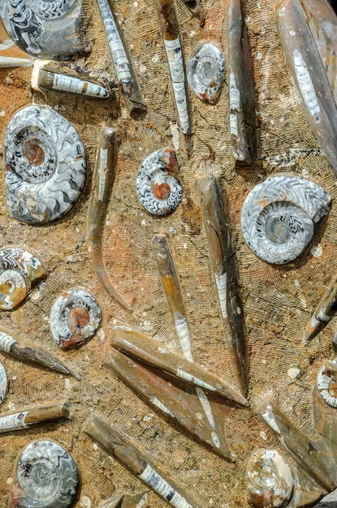 a bunch of tools that are laying on the ground
