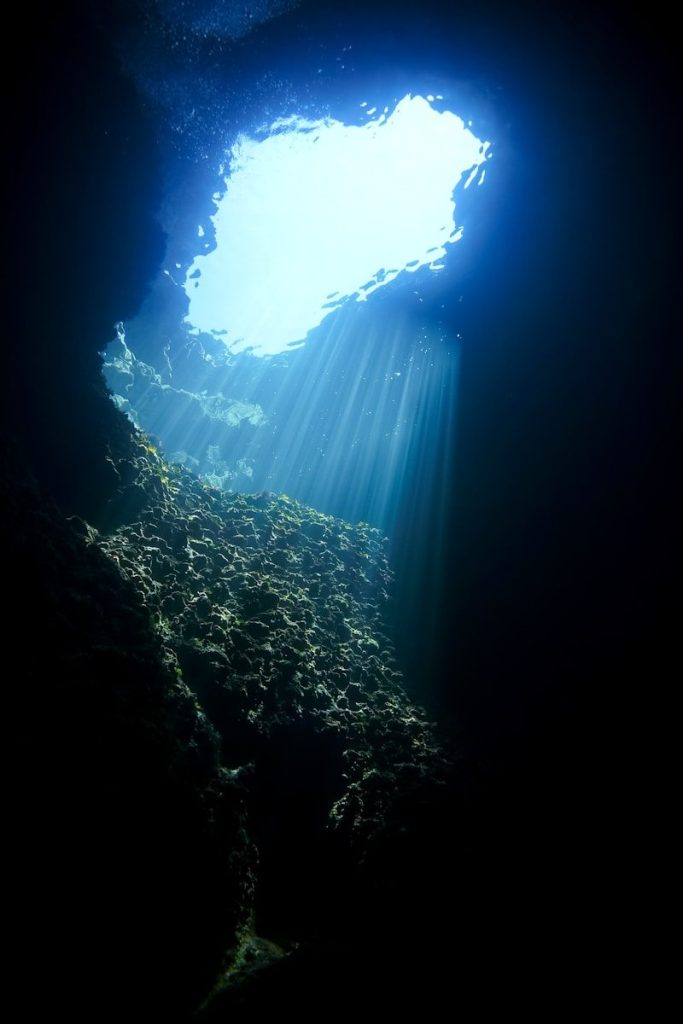 green moss in cave during daytime
