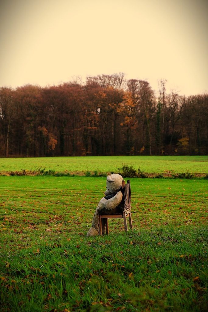 Teddy bear sits alone on a chair in a field.