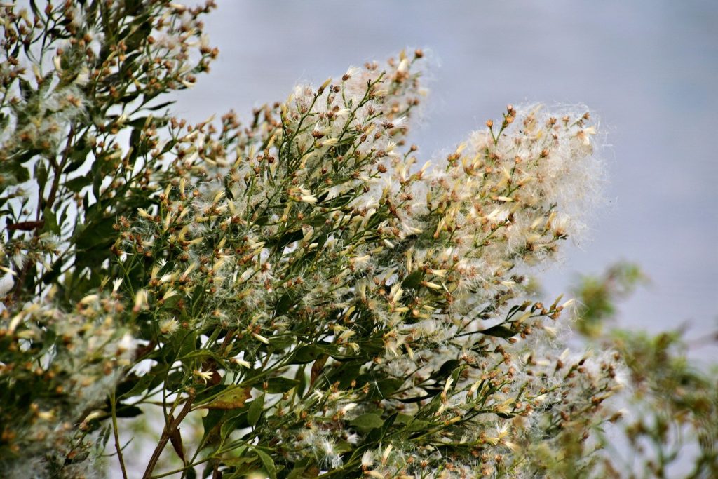 A bird is perched on a tree branch