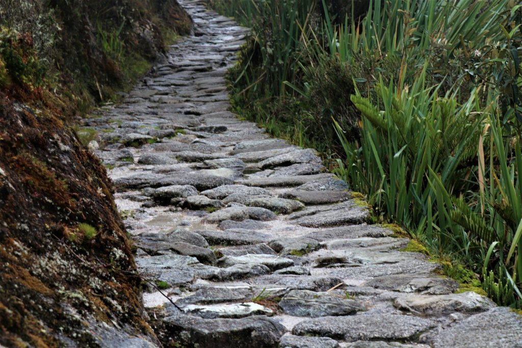 a stone path with grass on either side of it