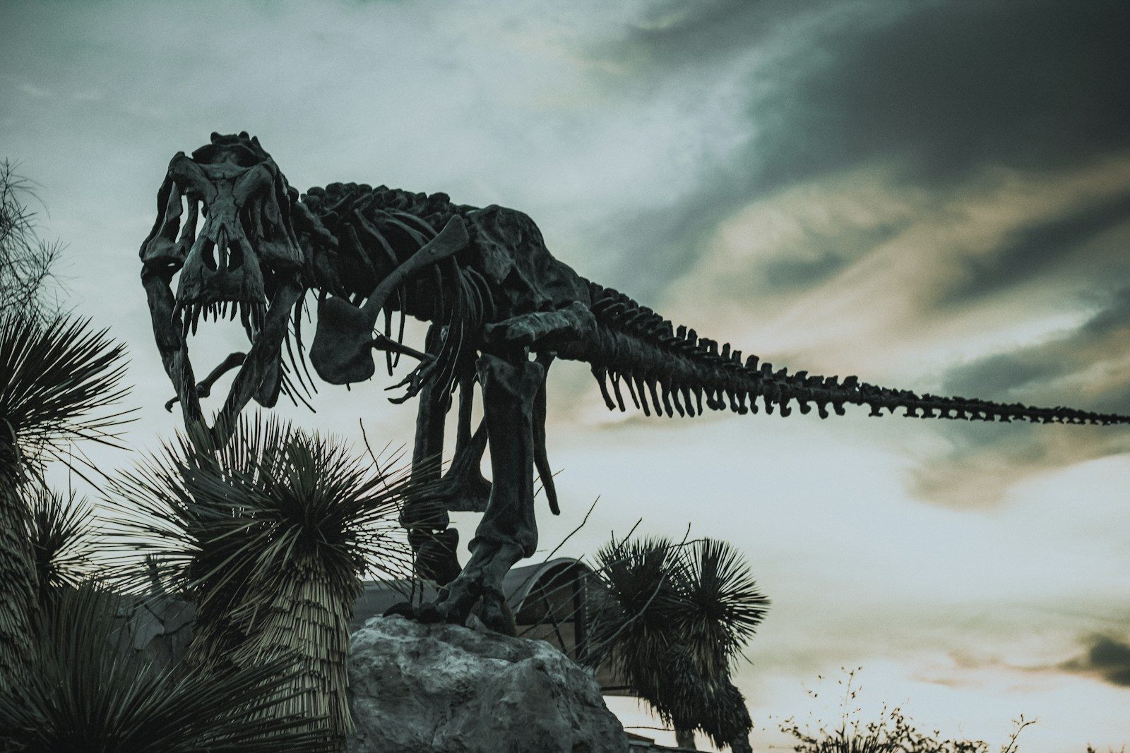 The Colossal Prehistoric Beasts That Walked Our Lost Continents