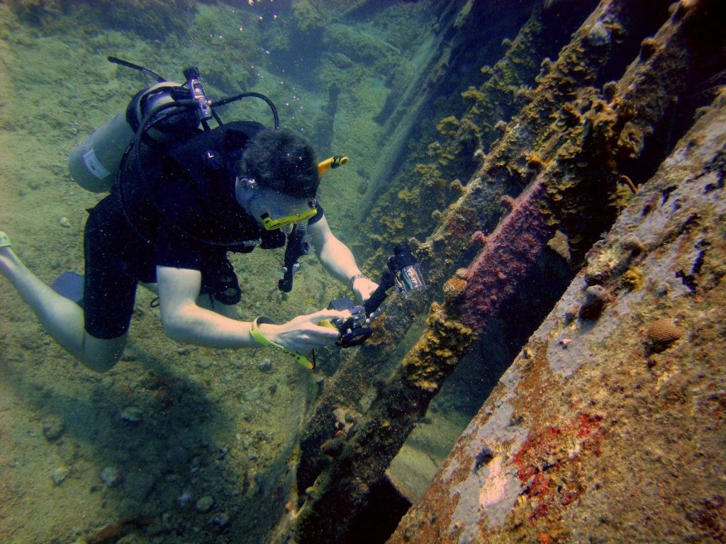 A person in a scuba suit diving in the water