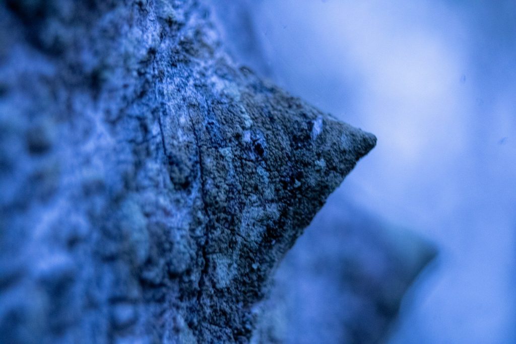 Close-up of a textured blue object with sharp edges.