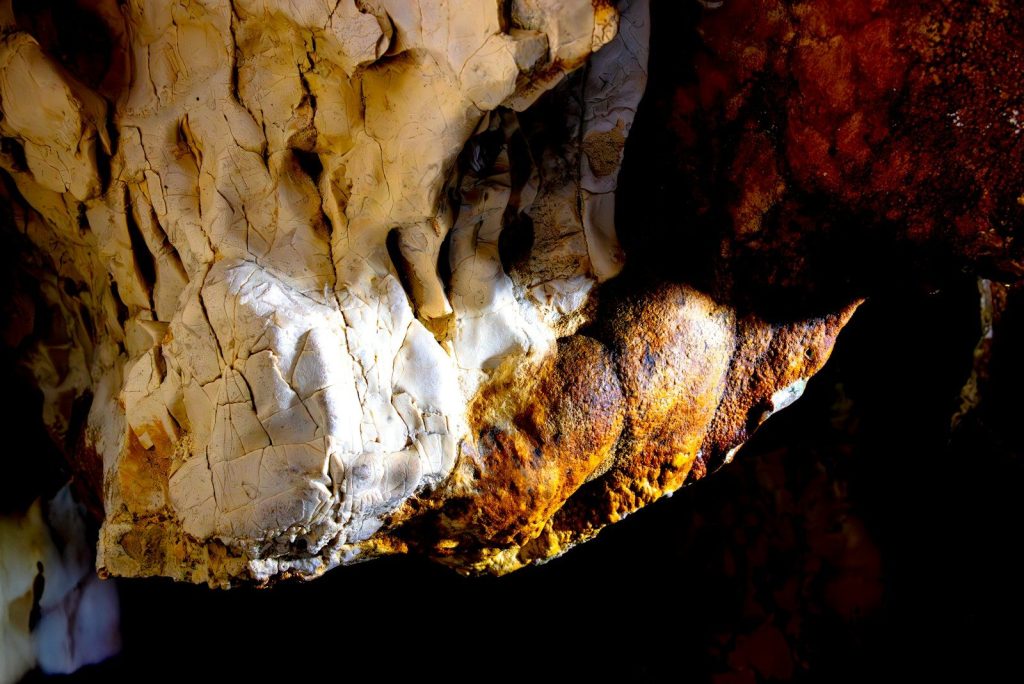Close-up of textured cave formations with earthy tones