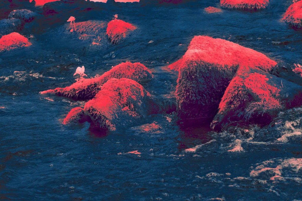 A group of rocks in a body of water