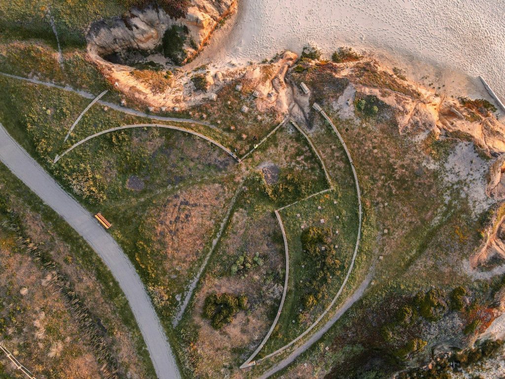 birds eye view of a forest