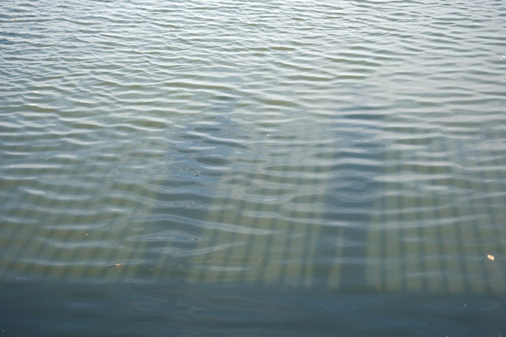 Shadows of people on a wooden pier reflected in water.