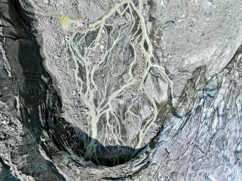 A picture of a rock with a tree on it