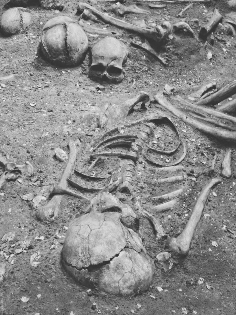 Black and white image of ancient skeleton remains in monochrome tones, depicting historical archaeology.