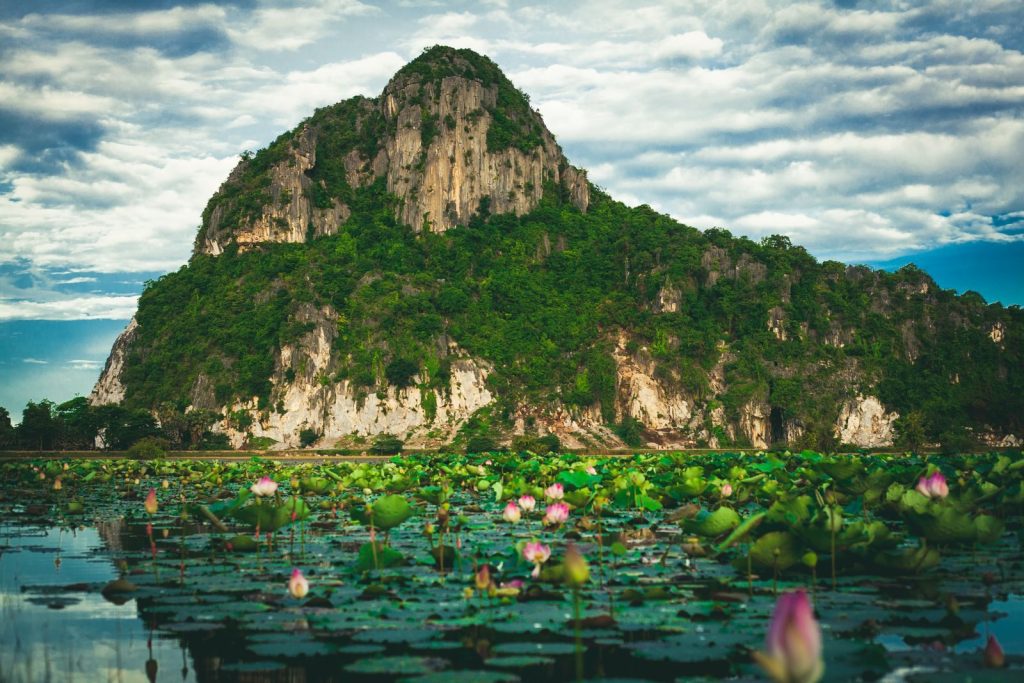 Beautiful scenic view of a lush green mountain with blooming lotus flowers in a tranquil lake.