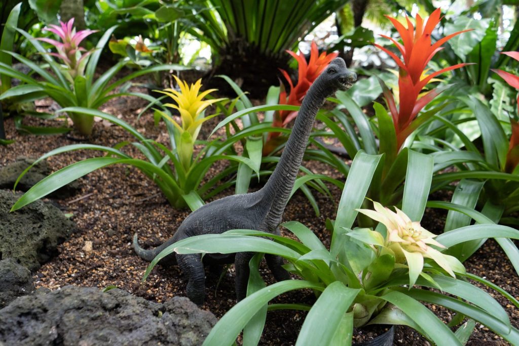 Vibrant bromeliads and dinosaur toy create a whimsical garden scene.