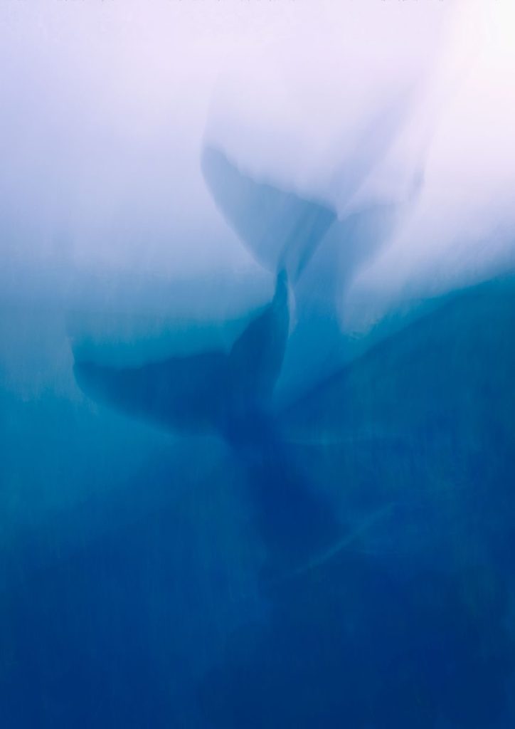 Artistic blurred view of a whale tail underwater, evoking oceanic mystery.