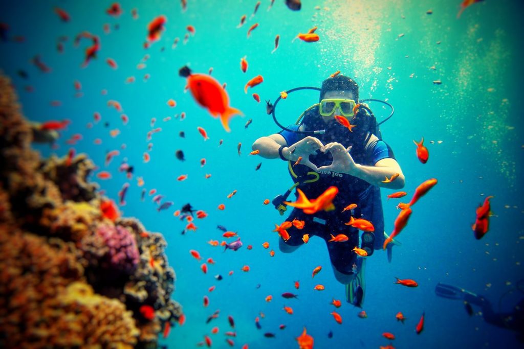 Diver surrounded by colorful fish and coral reef, capturing underwater adventure.